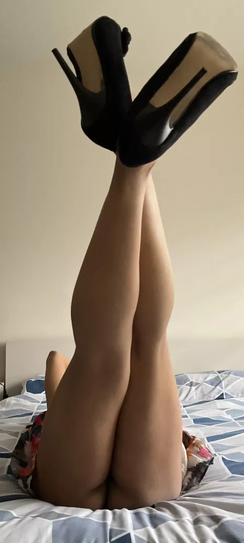 Just some long legs for you
