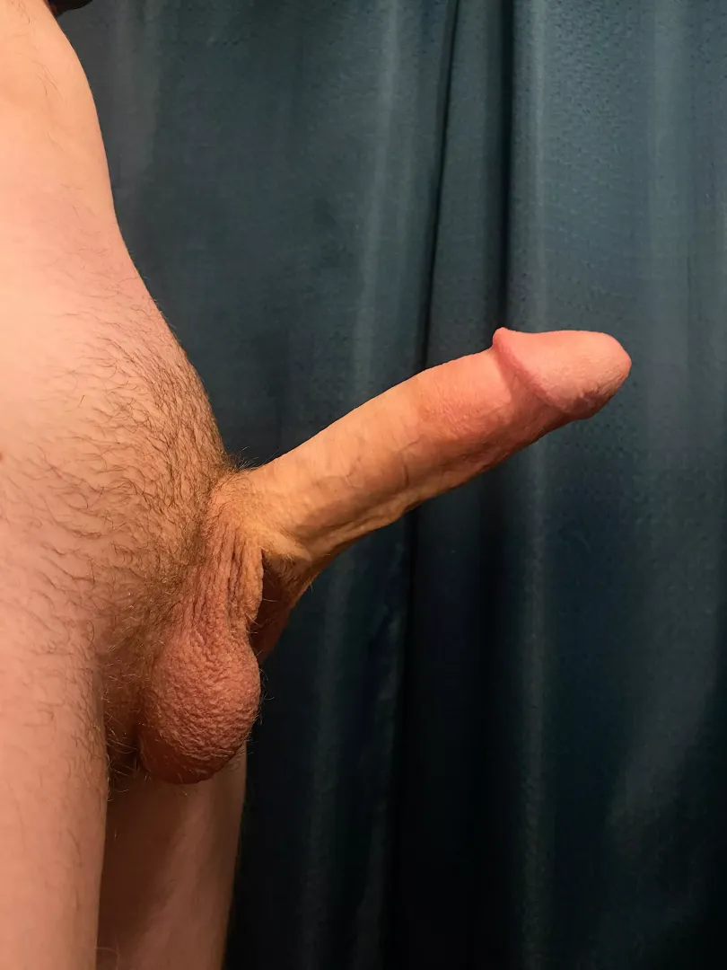 Just wanted to share my cock. Hope someone likes.