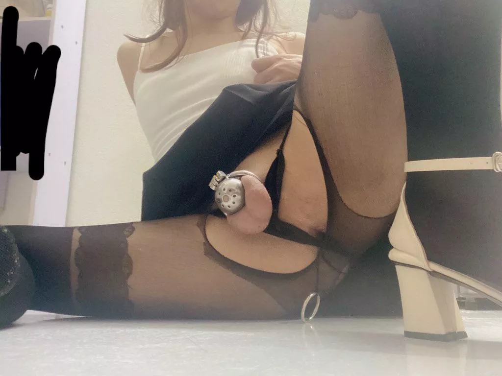 key holder