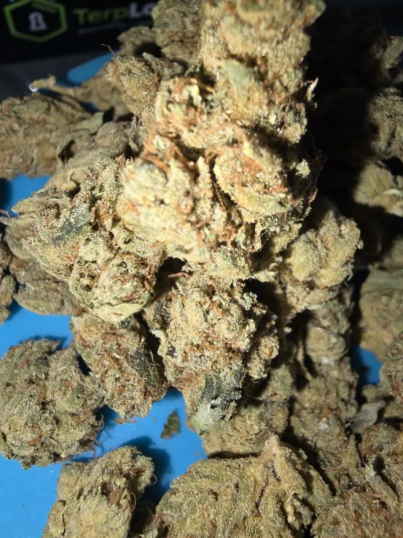 King Louie