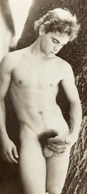 Kip Noll