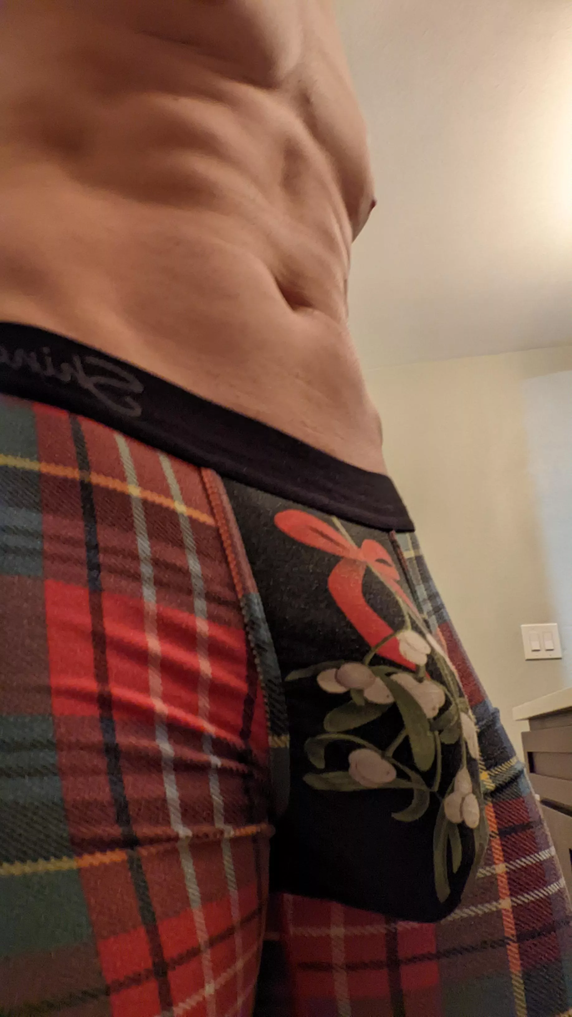 Kiss the Mistletoe (40)