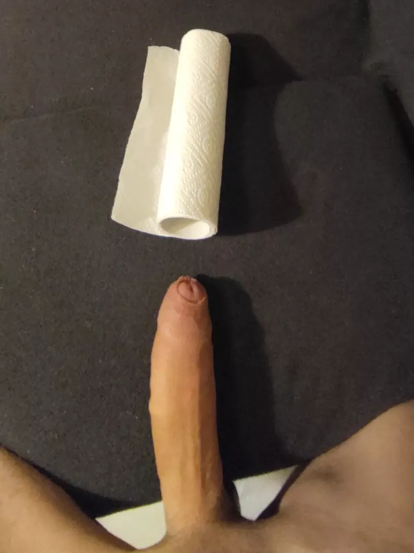 Kitchen paper towel