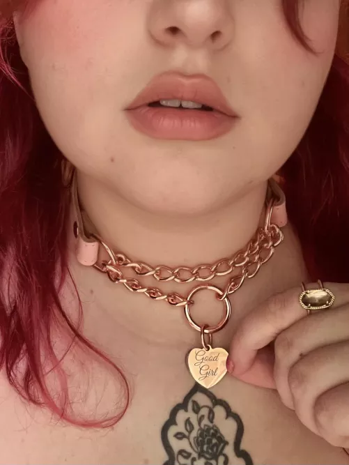 Kitten loves that her new collar matches her pink hair😽