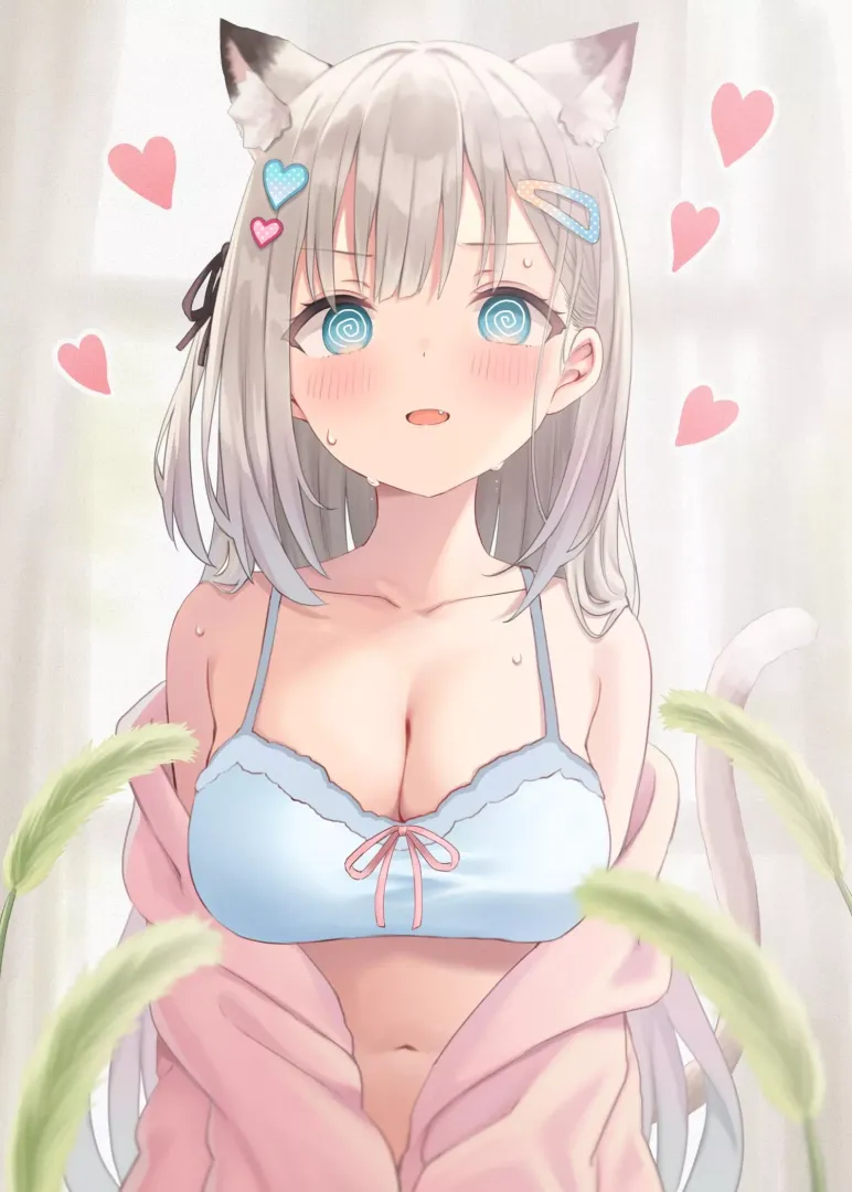 Kitty following her instincts (akino ell)