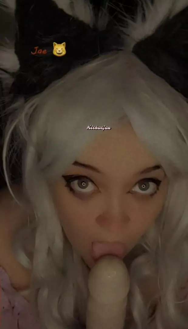 Kitty lick lick licks 😋