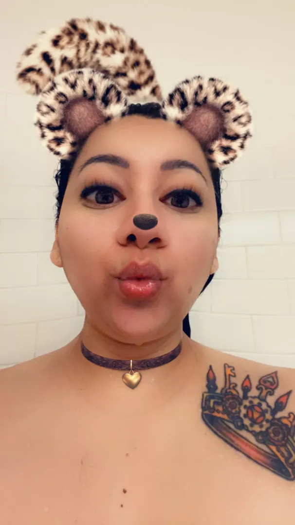 Kitty play time