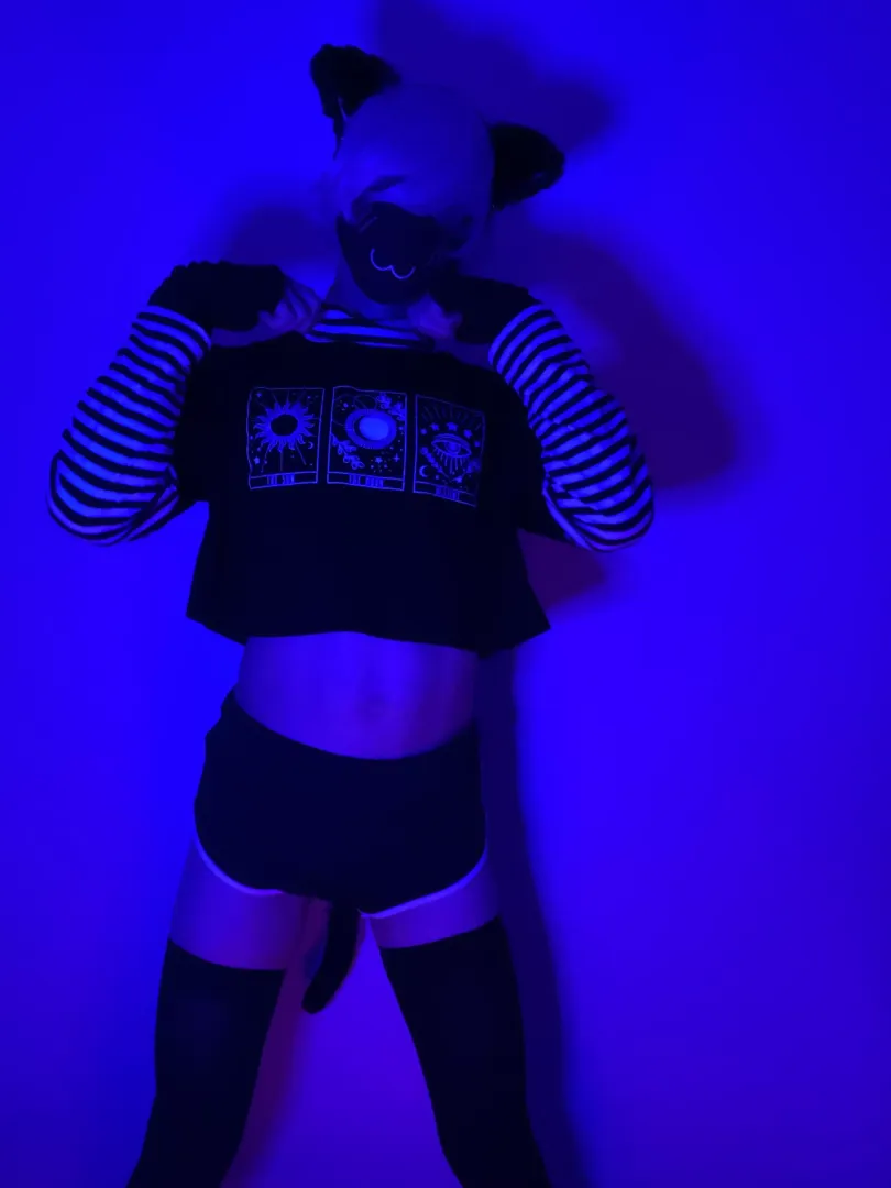 Kitty tum :3