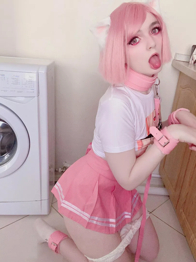 Kitty wants to play