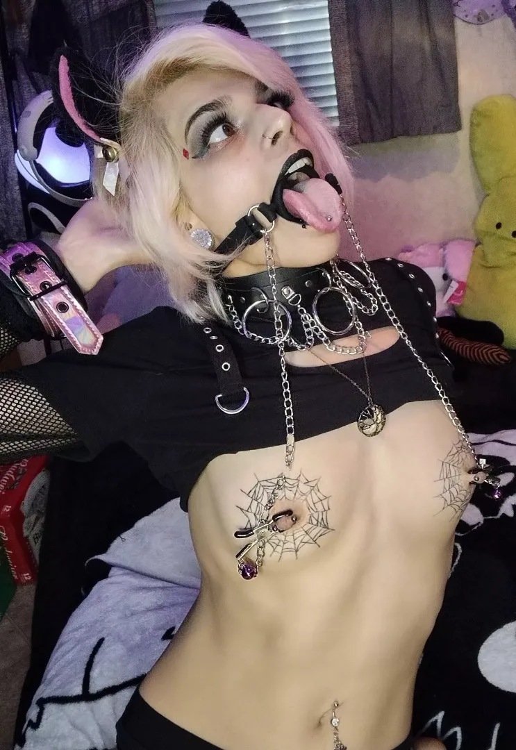 Kitty wants to play daddy