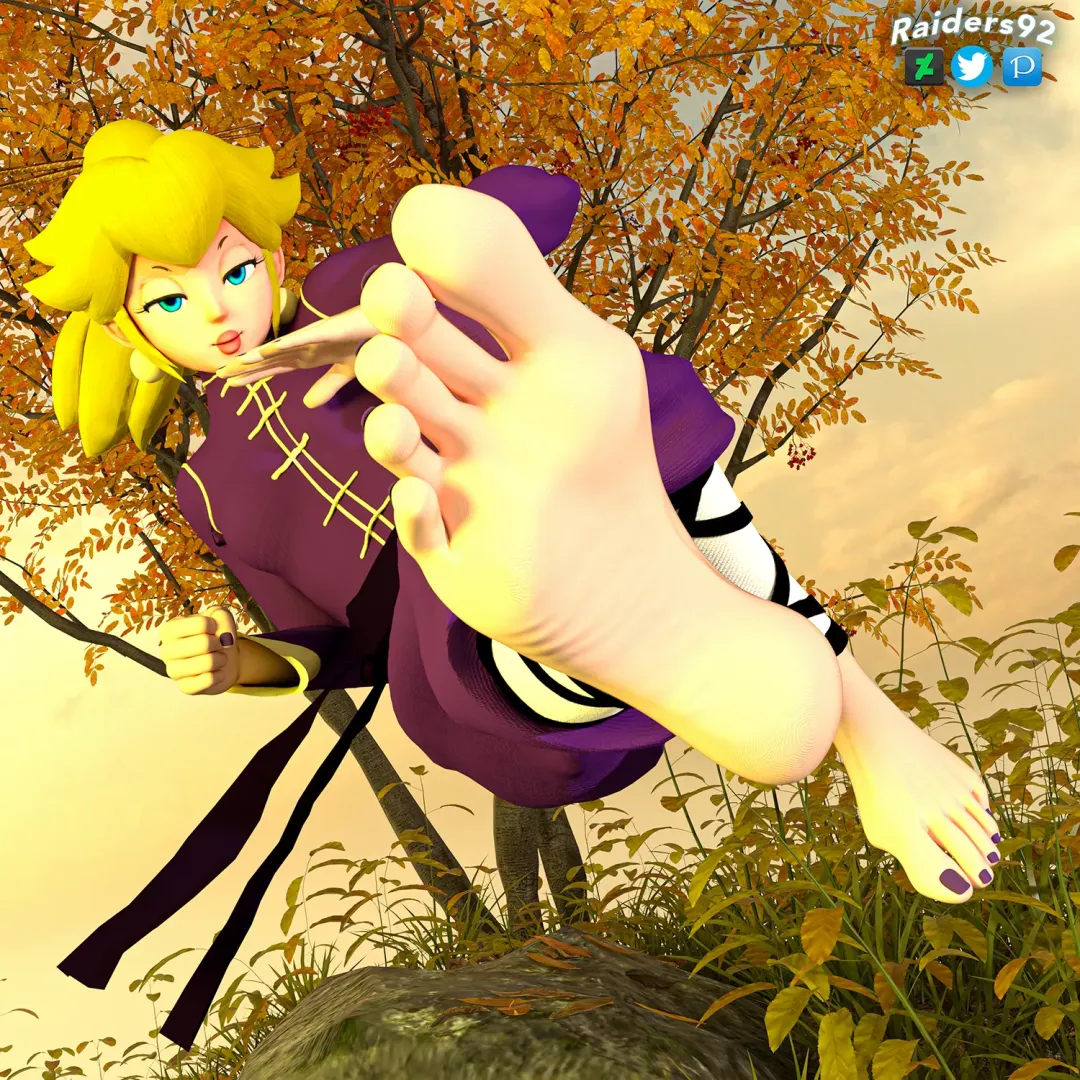 Kung Fu Peach (Princess Peach: Showtime) Raiders92