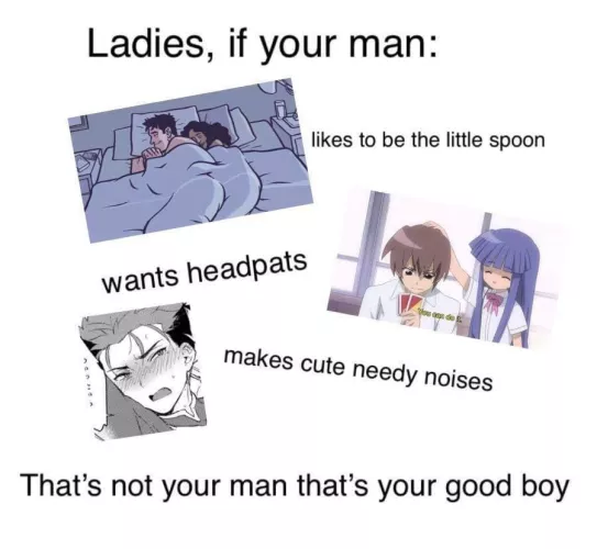 Ladies, that’s your good boy. ♥️