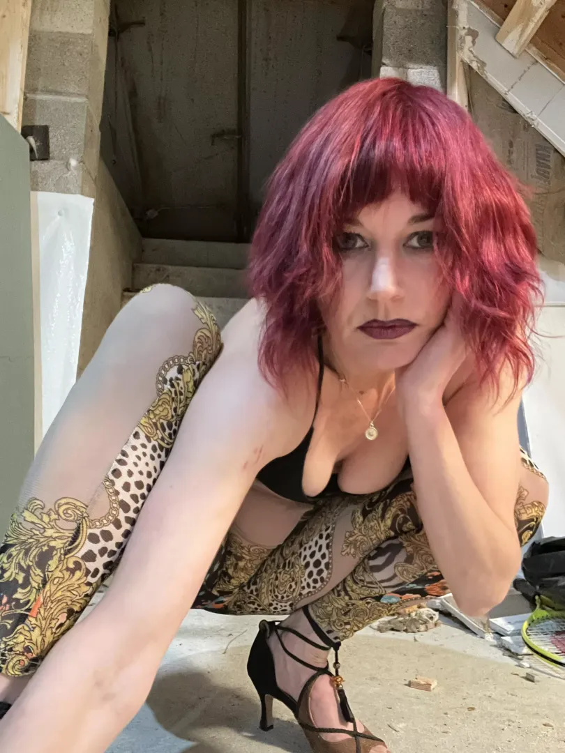 Lady in a Catsuit