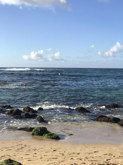 Laniakea Beach, HI. 2022