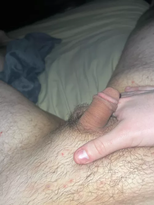 Late night softie