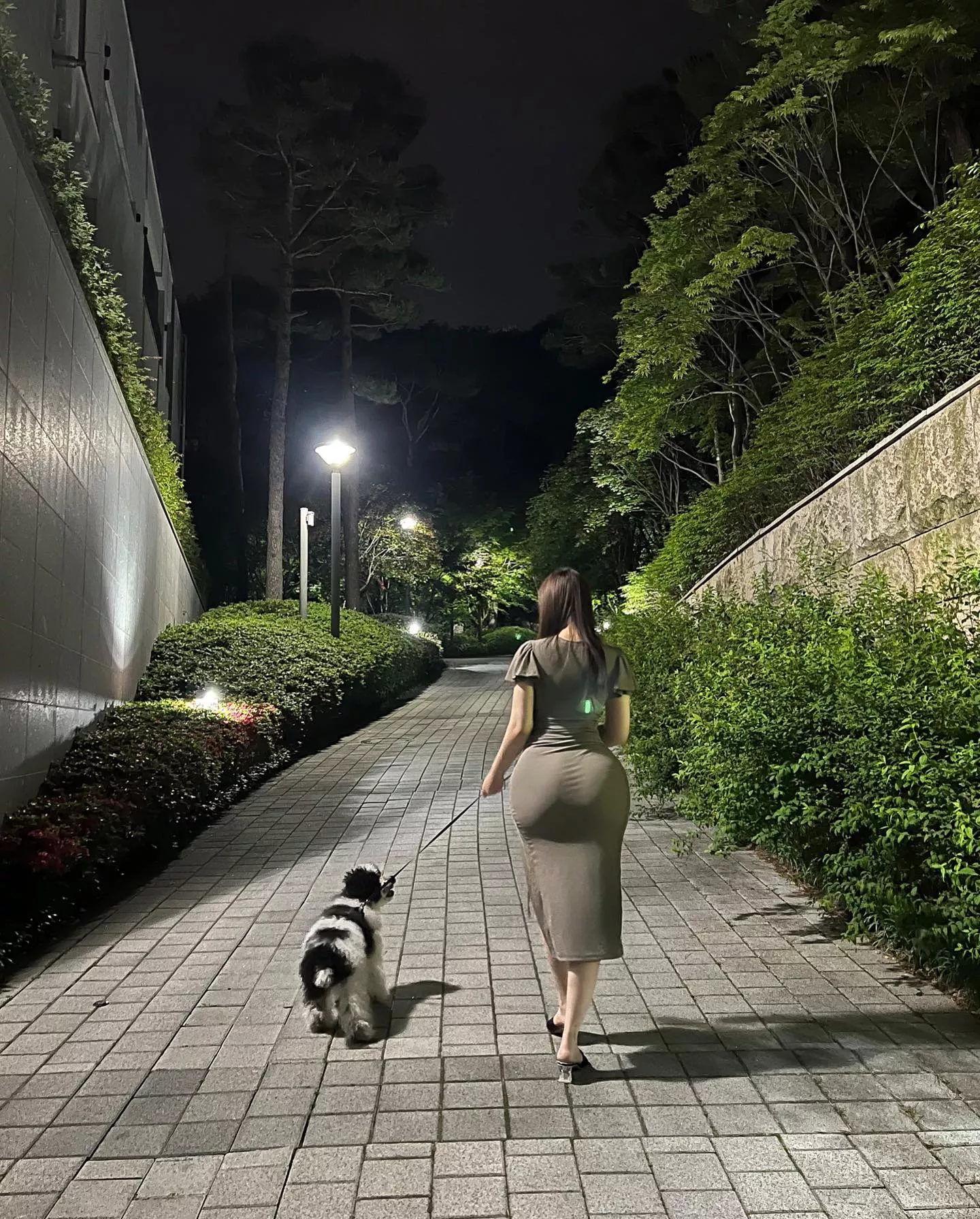 Late night walk