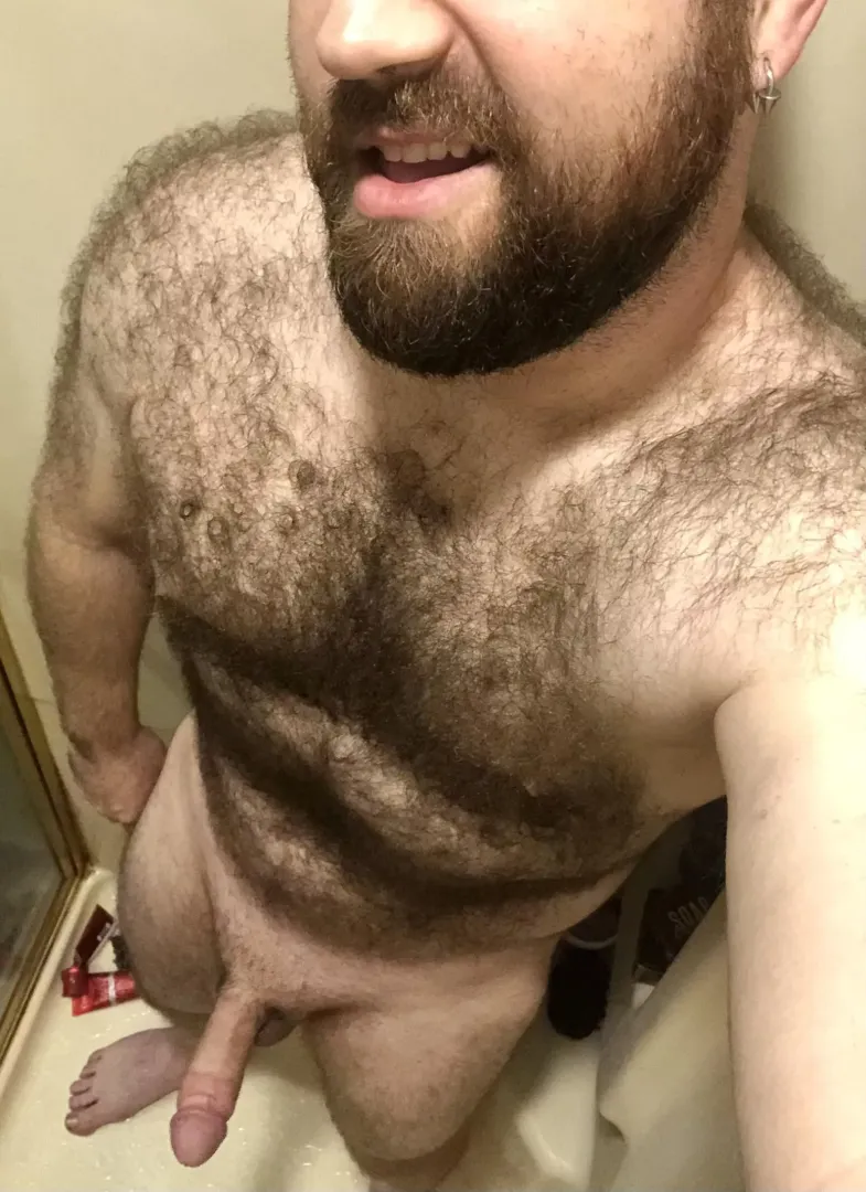 Lather this bear down