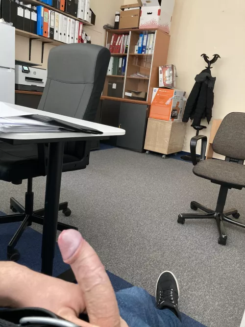 Lazy day at the office