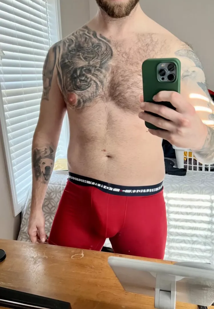 Lazy Saturday