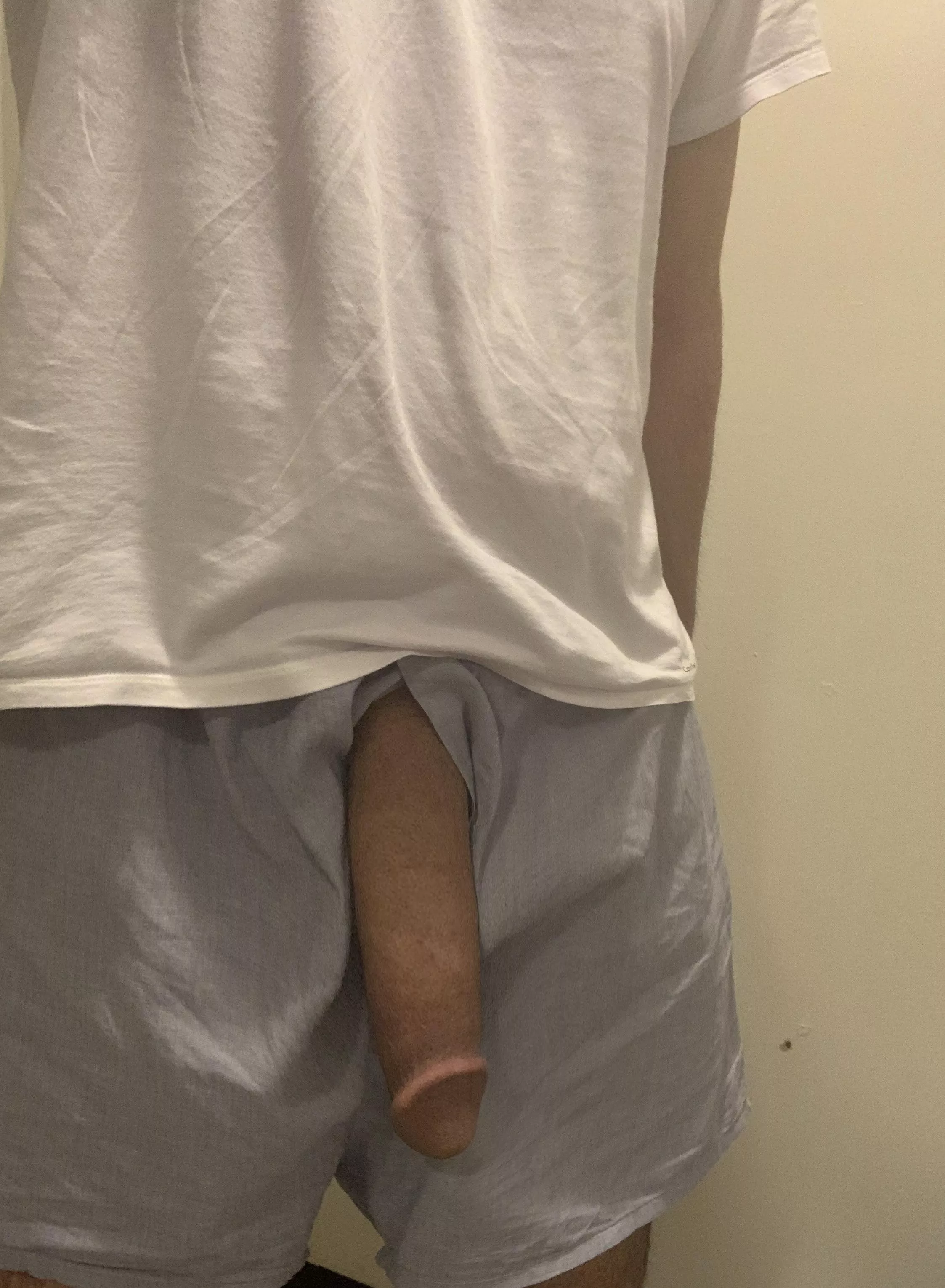 Lazy softie just hanging 🤷‍♂️