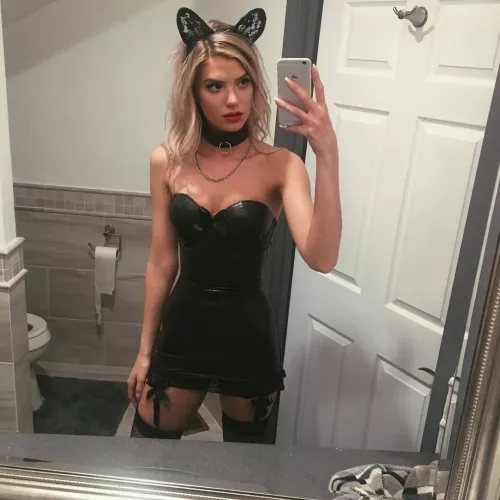 Leather cat