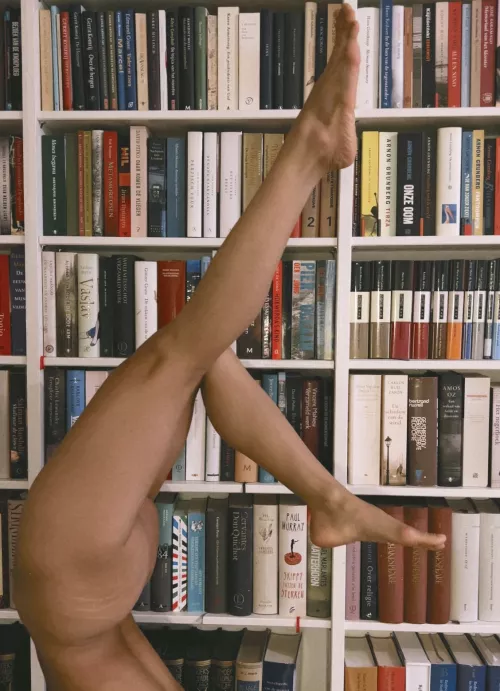 Legs
