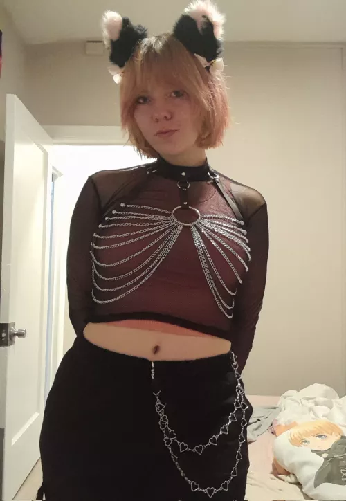 let me be ur pet kitten