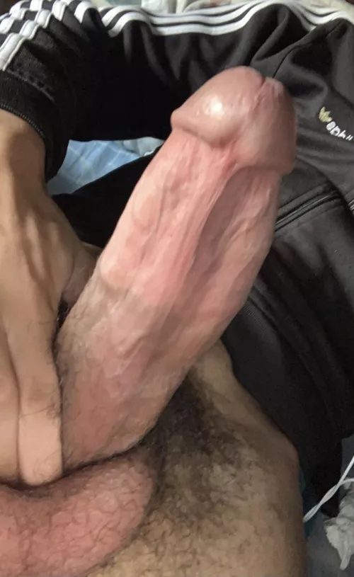 Let me know your thoughts dms open (18M)