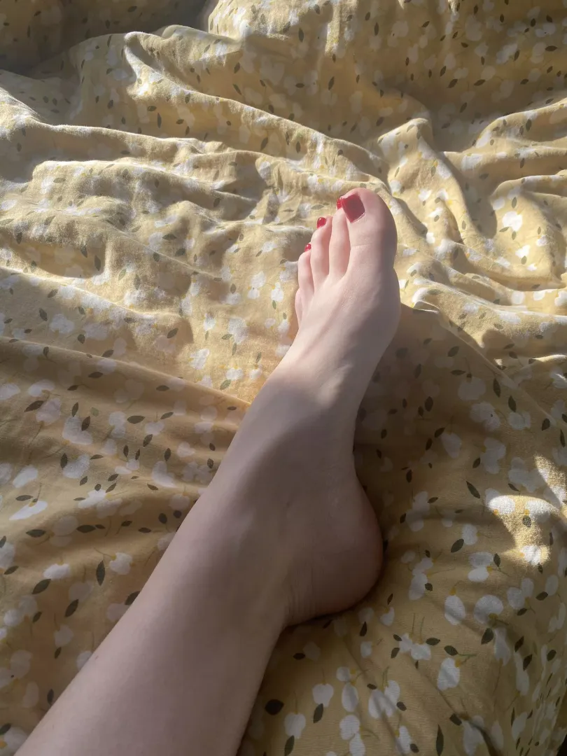 Let me step on you