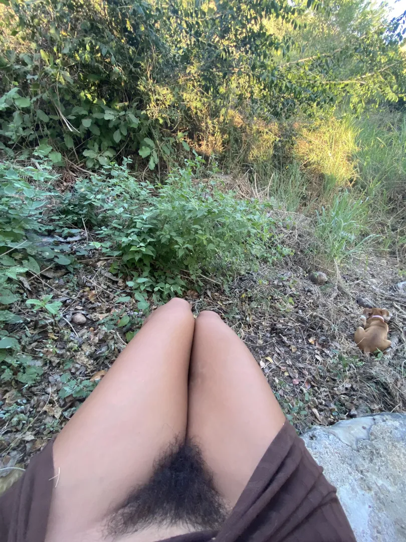 Let’s go picnic