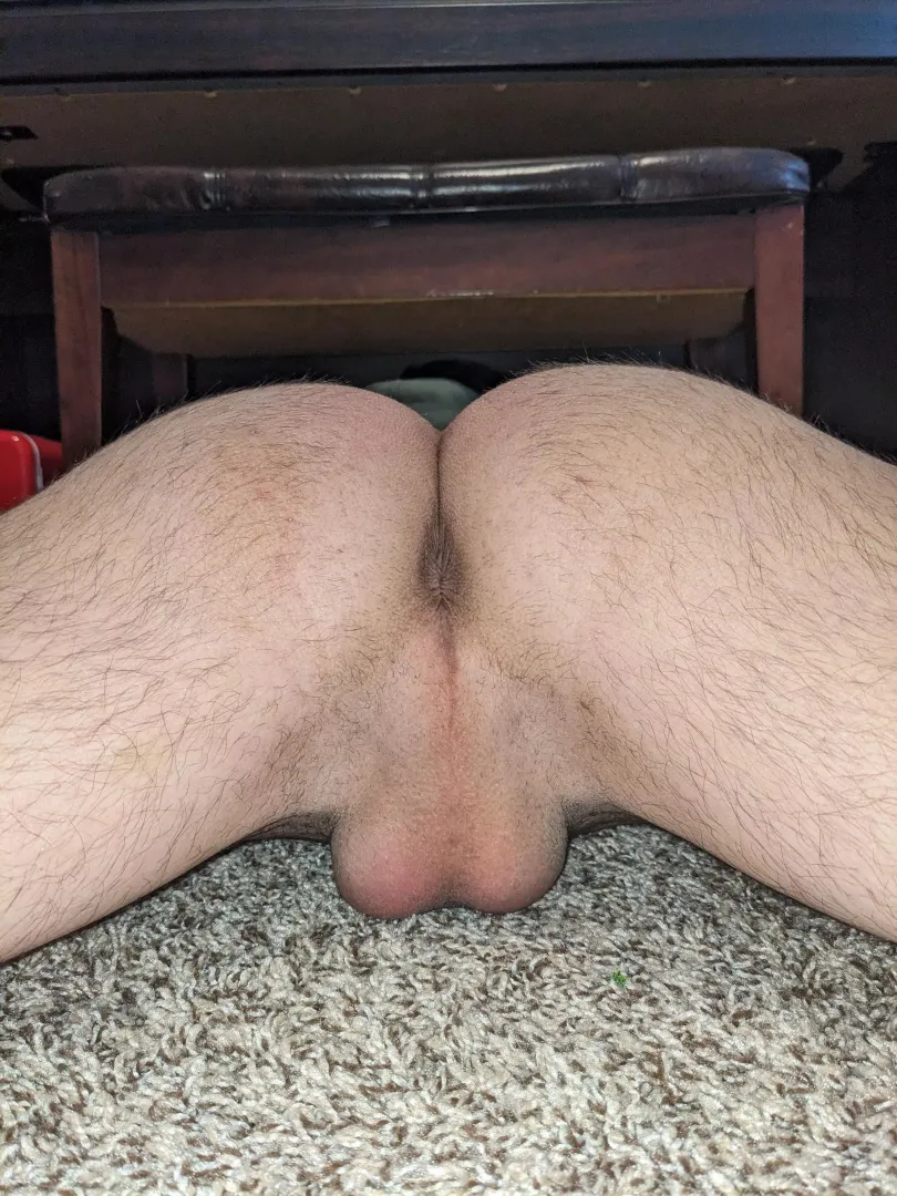 Lick or stick?