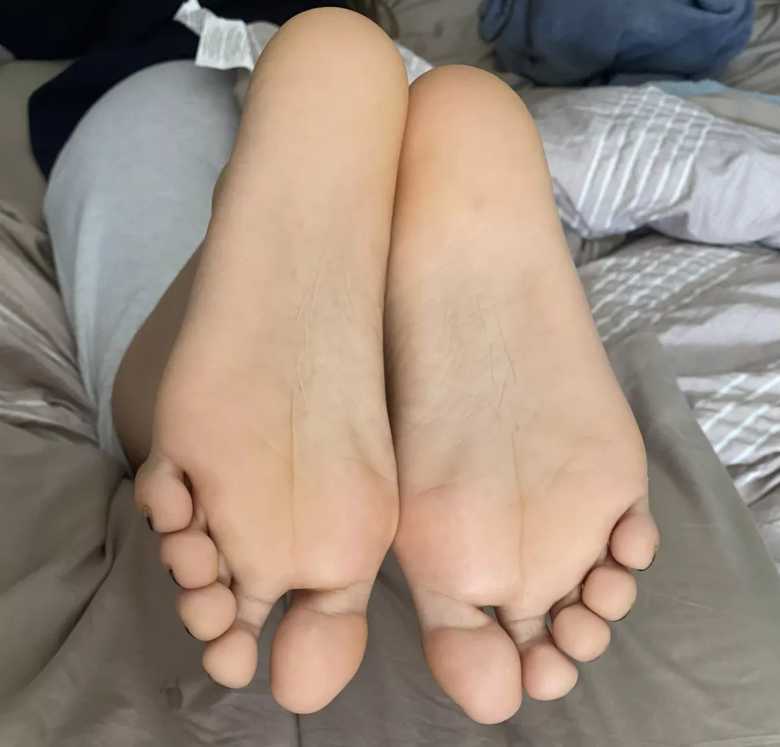 Lick them right this time. I want to cum 🙄