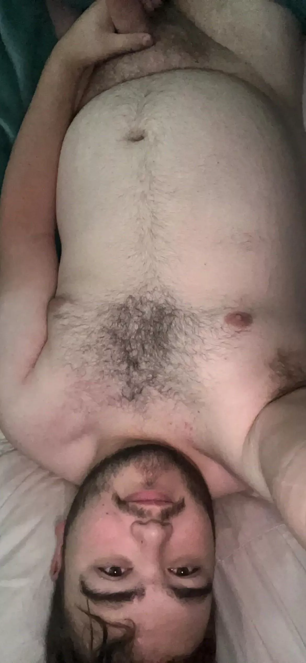 Like a Canadian cub?