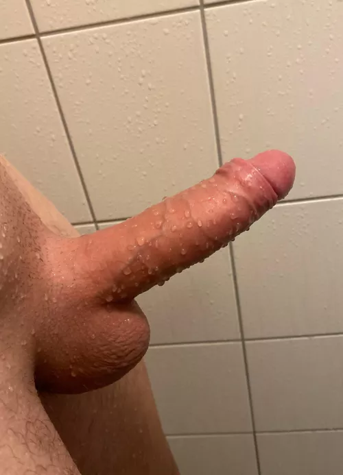 Like it shaved?😉