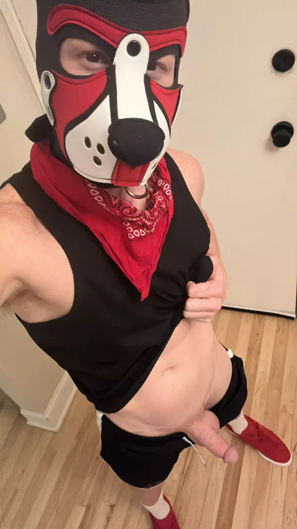 Like my bone?