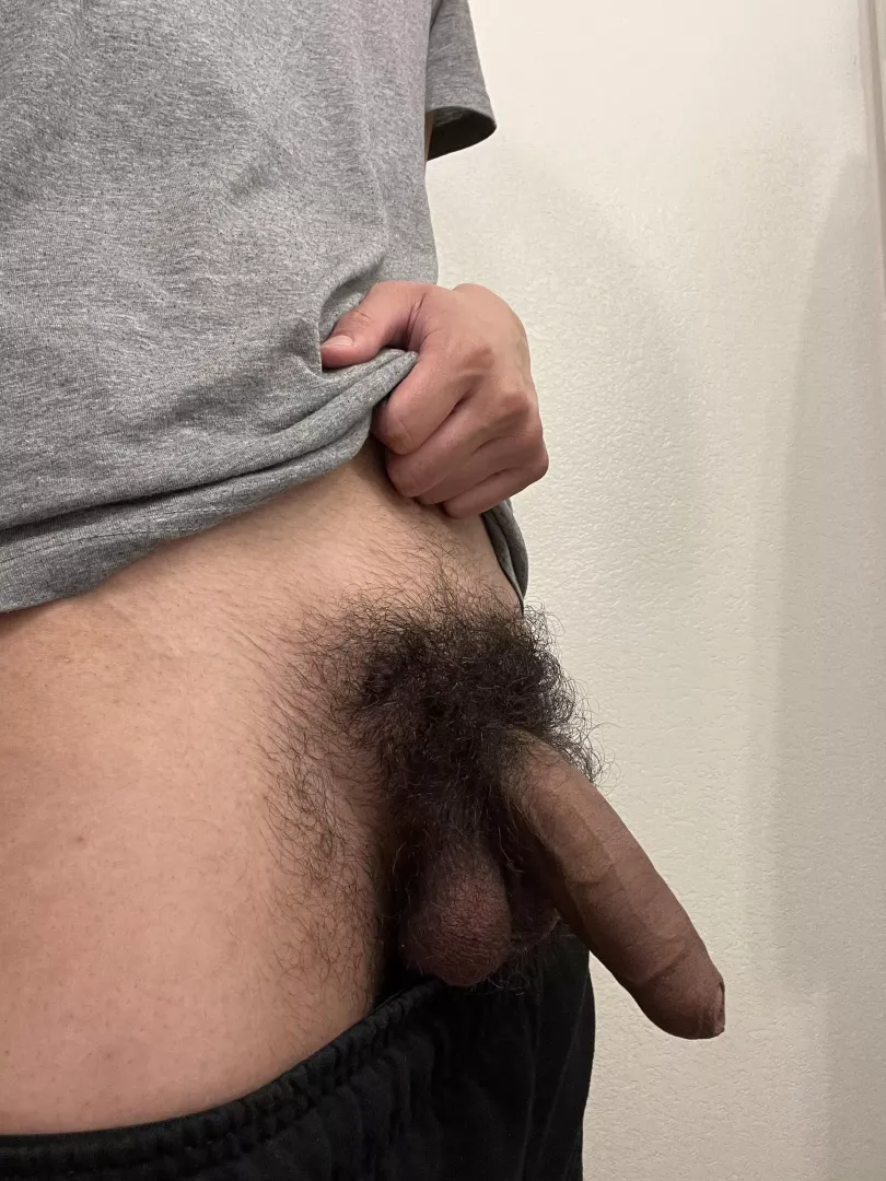 like my bush?