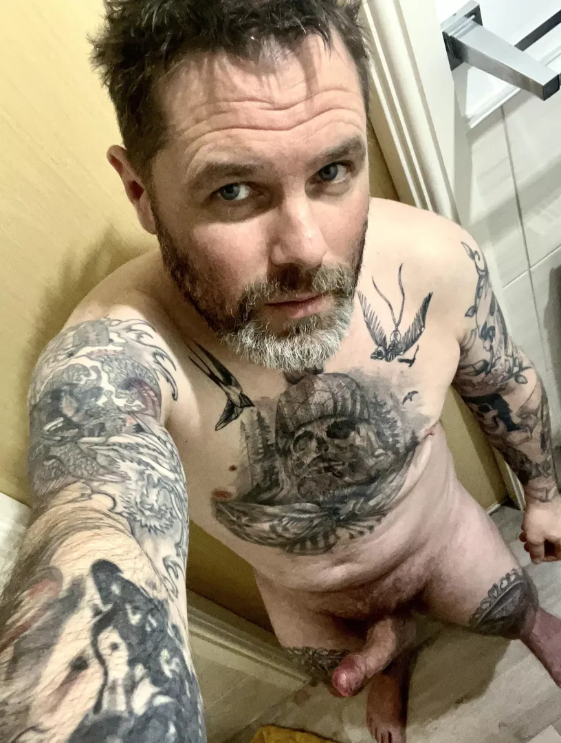 Like my tattoos ?