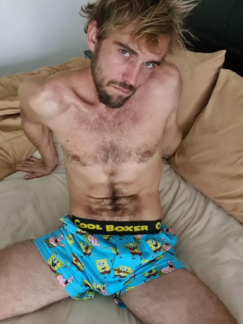 like the boxer ?