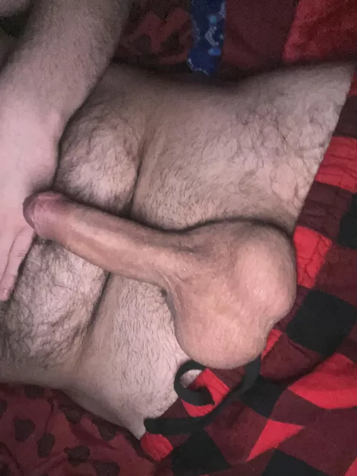Like what you see?