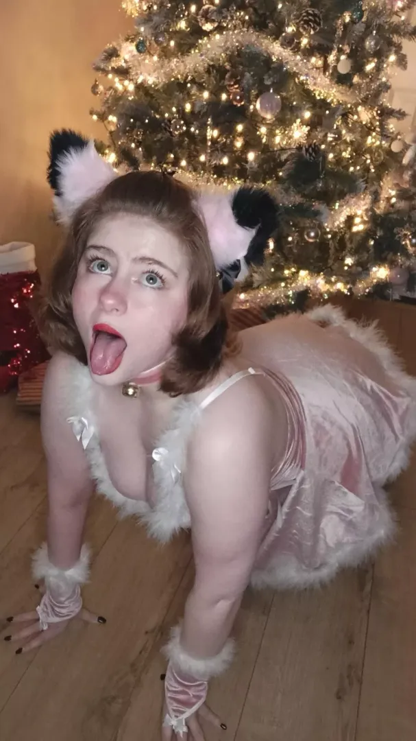 Lil Kitty waiting to be of service
