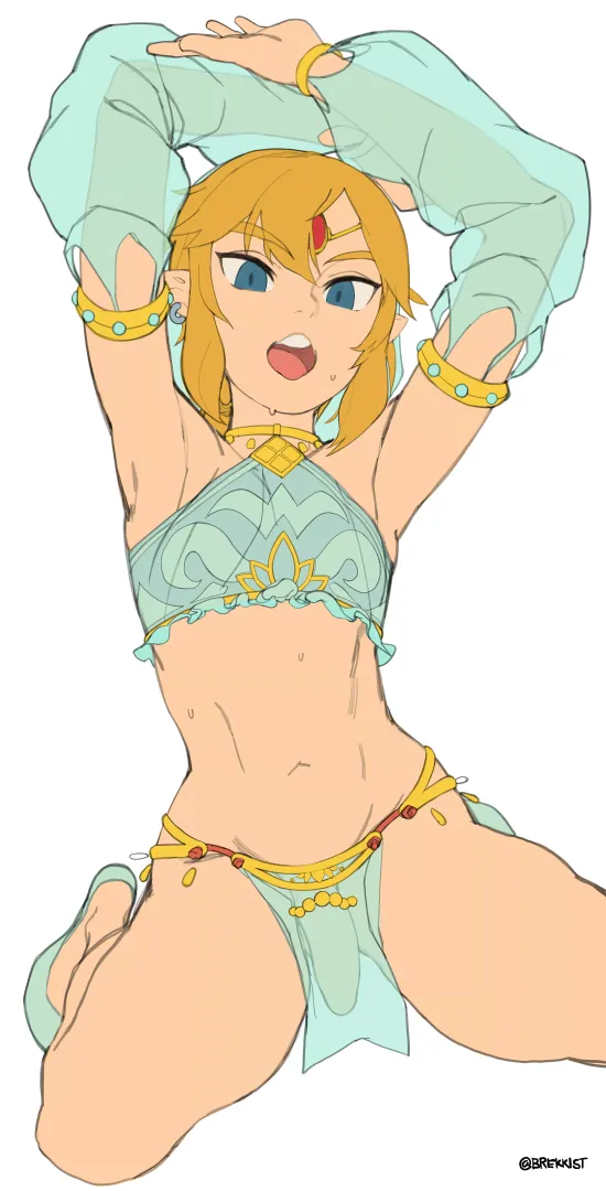 Link moving his body for you (Brekkist)