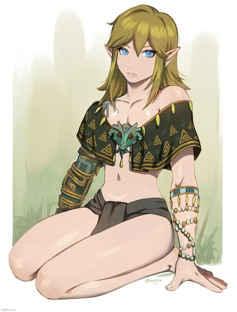 Link taking a well deserved rest