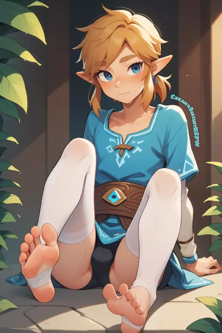 Link [The Legend Of Zelda]