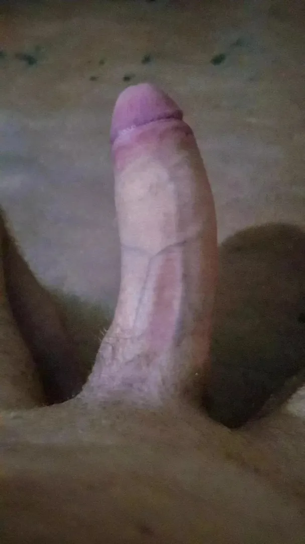 Literally a horse cock