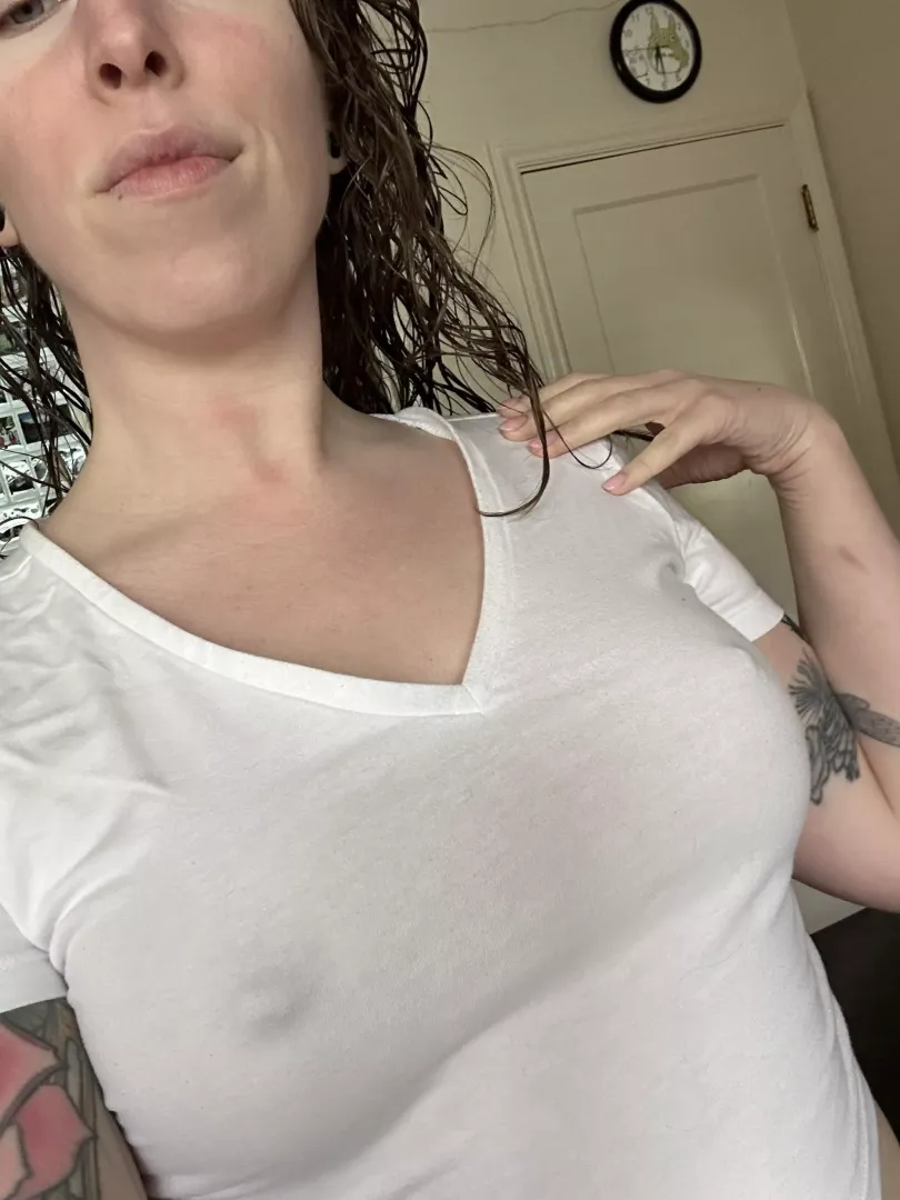 Little and perky