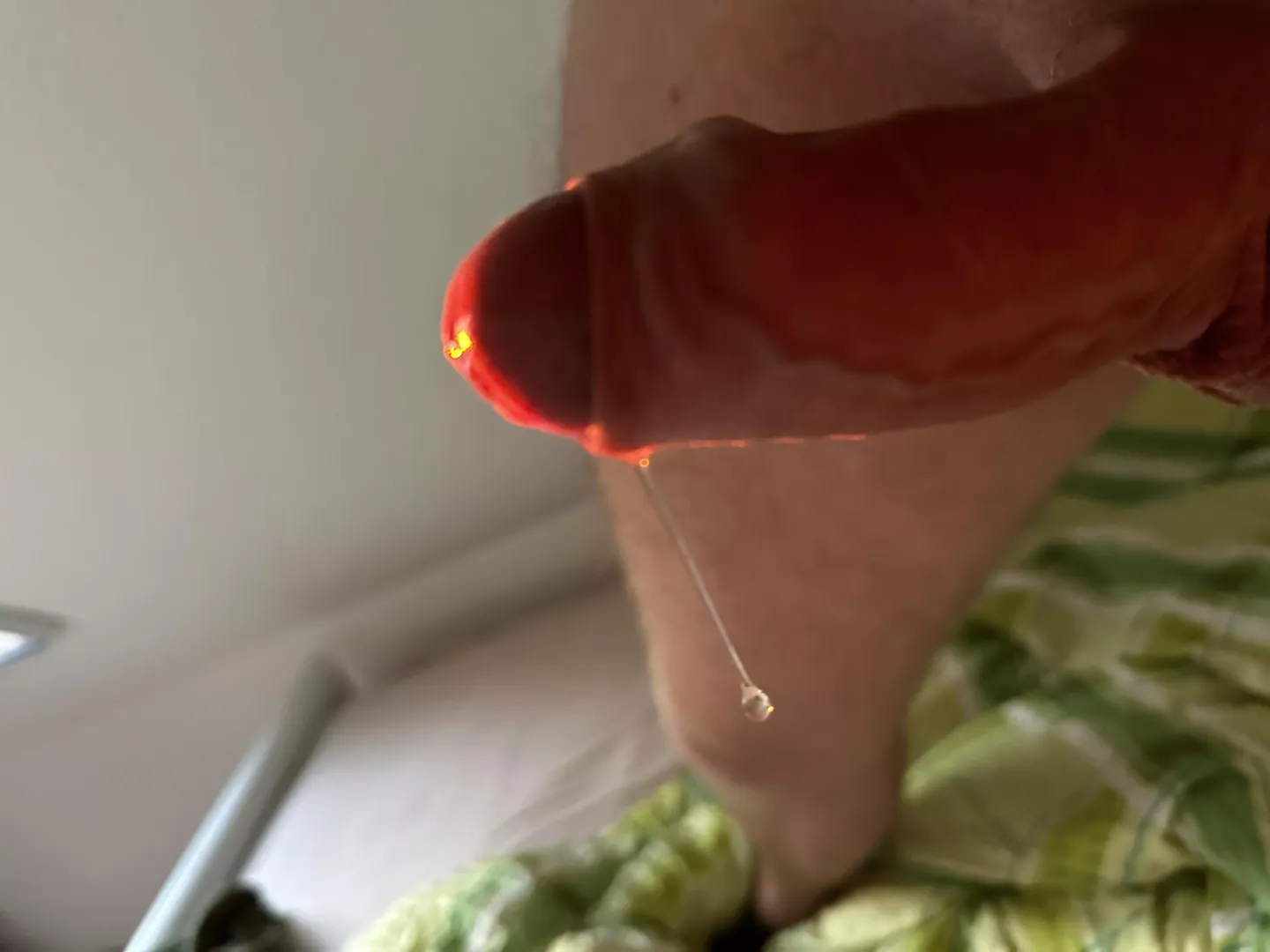 Little drip in the sunlight