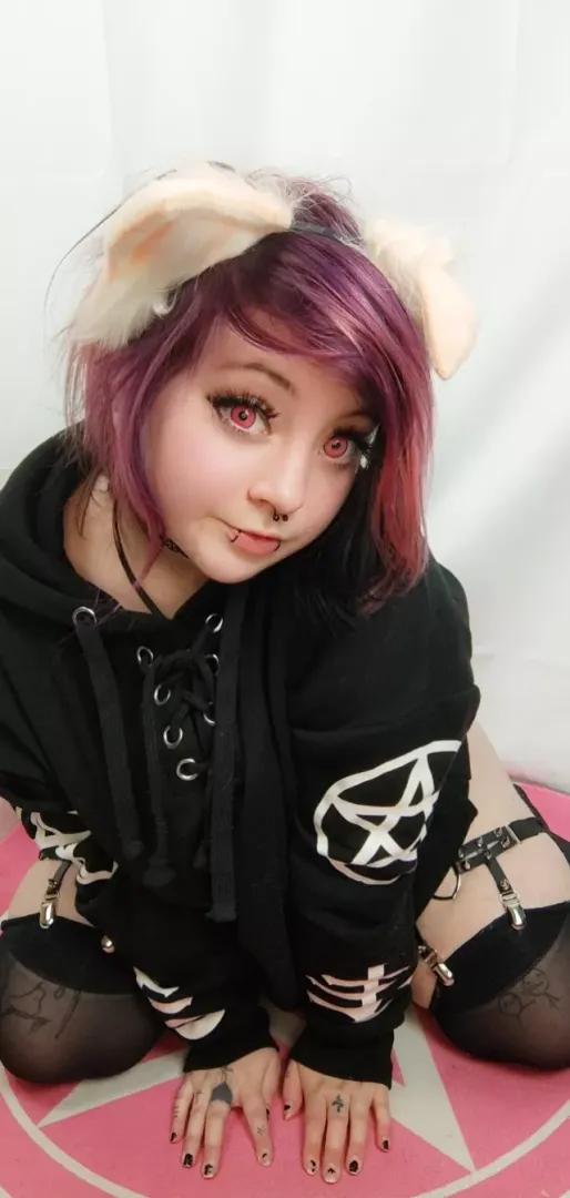 Little emo kitten 🐾