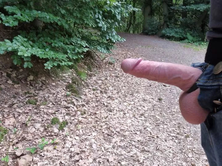 little Flash