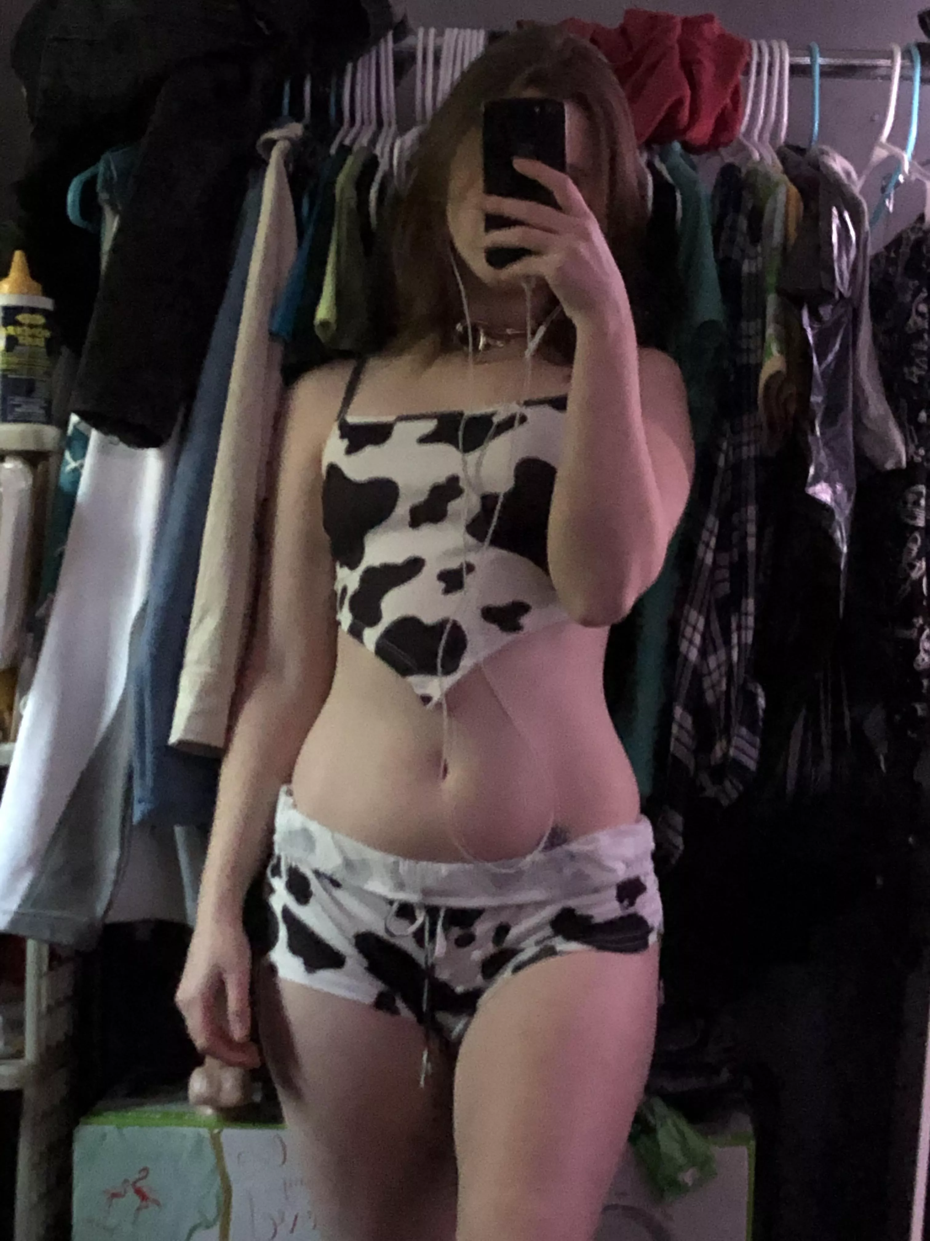 Little heifer ready to be a cow