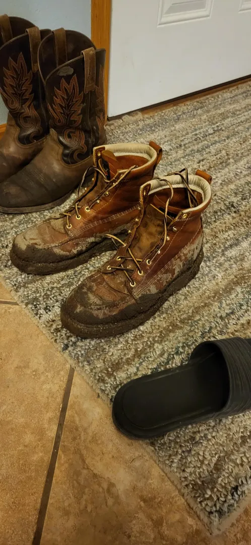 Little muddy last night